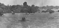 North Park of the Radio Research Station.
		    Ditton Park, Slough. c.1927.